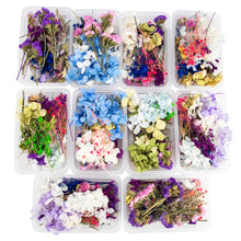Load image into Gallery viewer, Real Mix Dried Flowers for Resin Jewellery Dry Plants