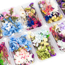 Load image into Gallery viewer, Real Mix Dried Flowers for Resin Jewellery Dry Plants